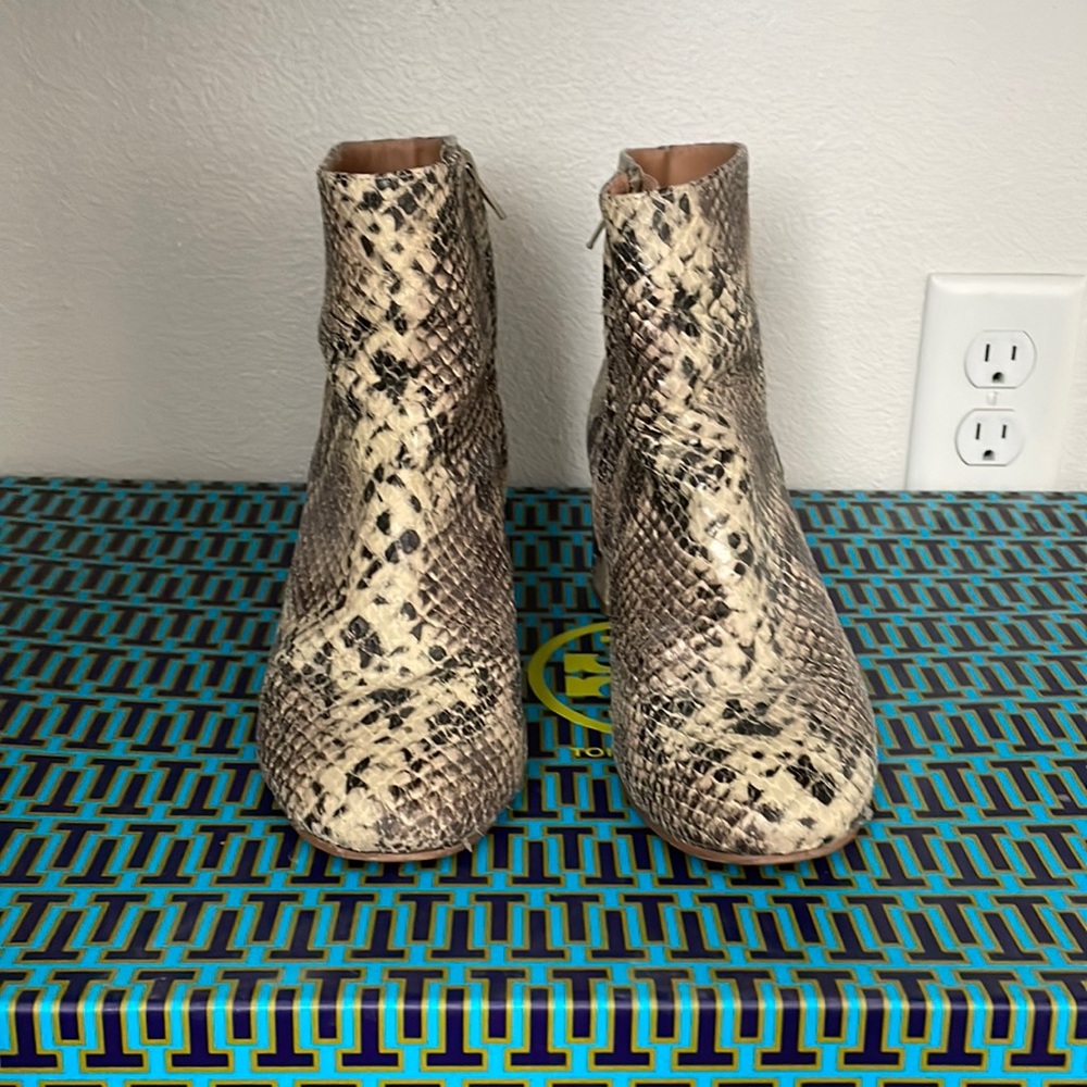 Urban Outfitters snakeskin heeled ankle boots